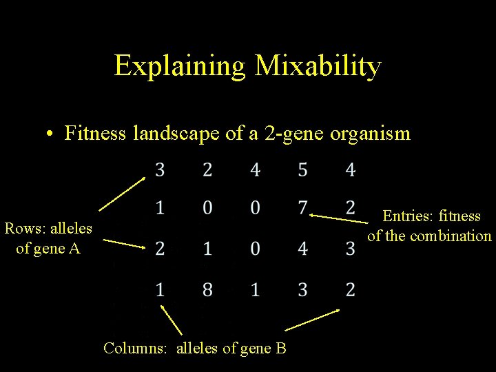 Explaining Mixability • Fitness landscape of a 2 -gene organism Entries: fitness of the