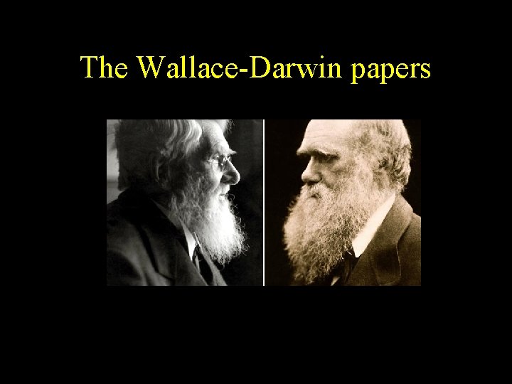 The Wallace-Darwin papers 