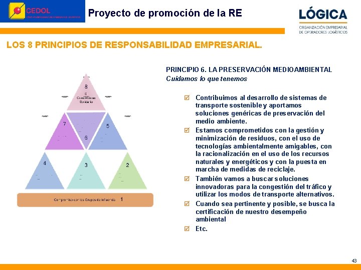 Proyecto de promoción de la RE © Perception&Image 2010 LOS 8 PRINCIPIOS DE RESPONSABILIDAD