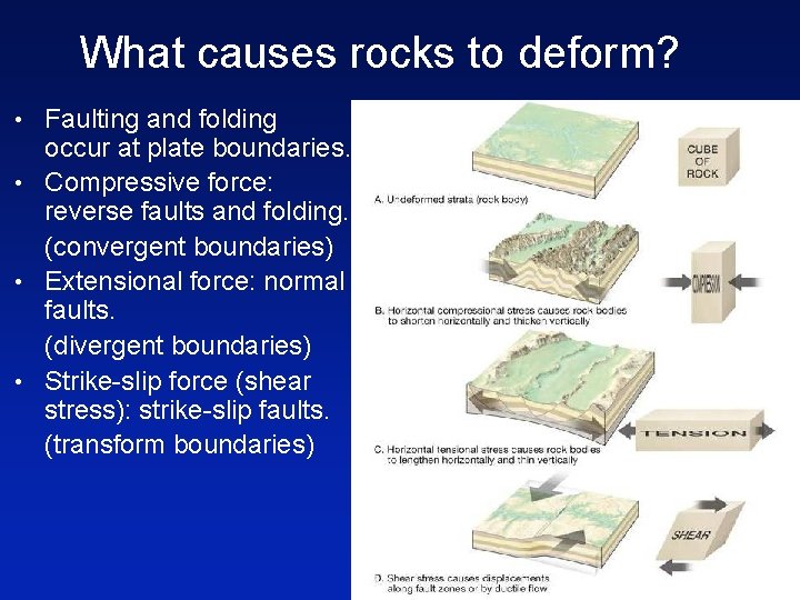 What causes rocks to deform? • Faulting and folding occur at plate boundaries. •