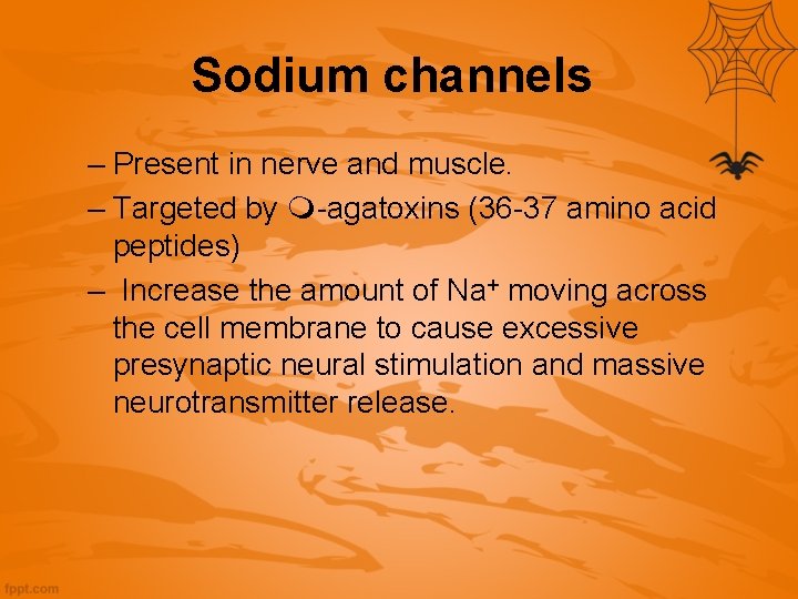 Sodium channels – Present in nerve and muscle. – Targeted by -agatoxins (36 -37