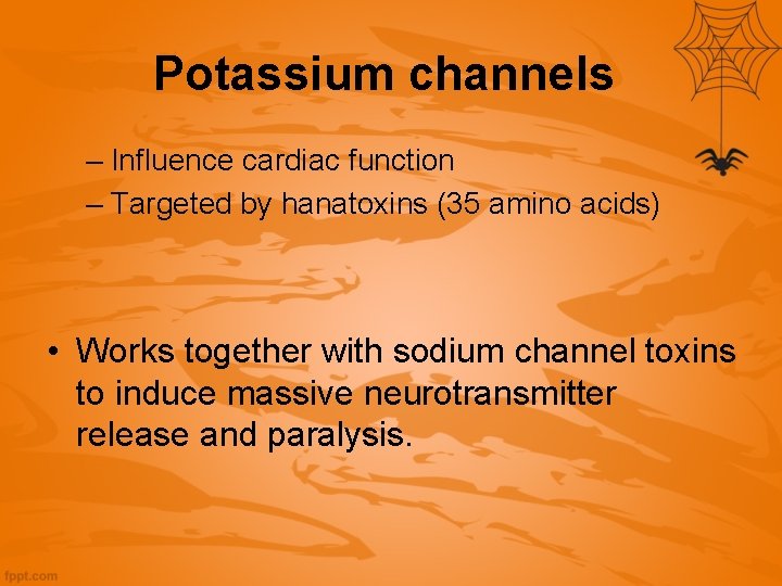 Potassium channels – Influence cardiac function – Targeted by hanatoxins (35 amino acids) •