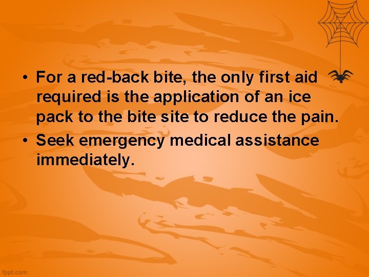  • For a red-back bite, the only first aid required is the application