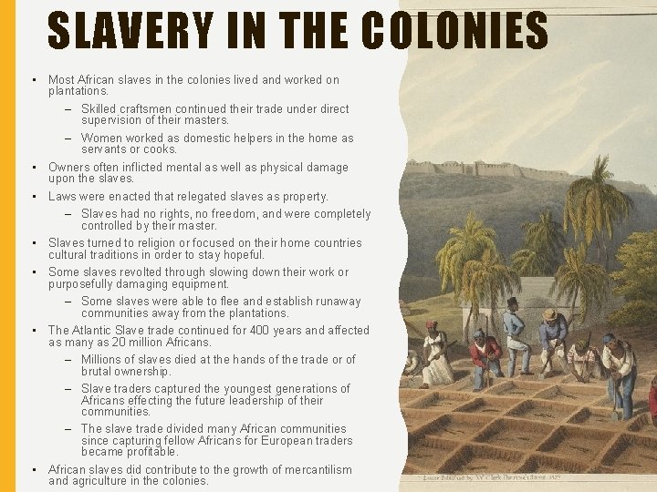 SLAVERY IN THE COLONIES • Most African slaves in the colonies lived and worked