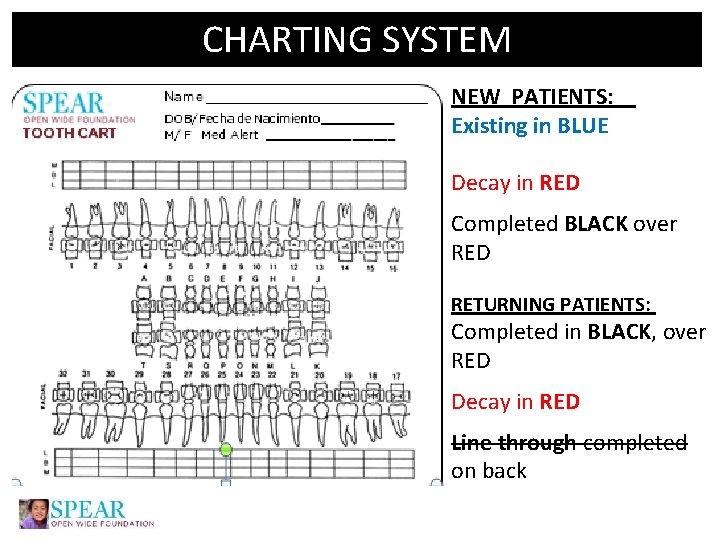 CHARTING SYSTEM NEW PATIENTS: Existing in BLUE Decay in RED Completed BLACK over RED