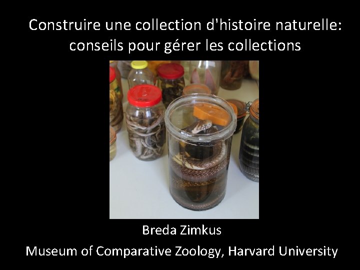 Construire une collection d'histoire naturelle: conseils pour gérer les collections Breda Zimkus Museum of