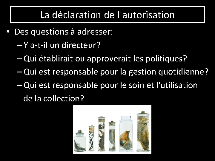 La déclaration de l'autorisation • Des questions à adresser: – Y a-t-il un directeur?