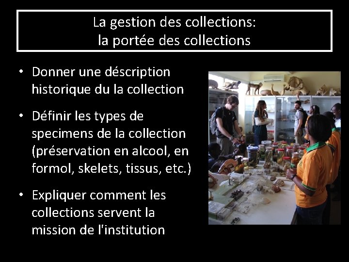 La gestion des collections: la portée des collections • Donner une déscription historique du