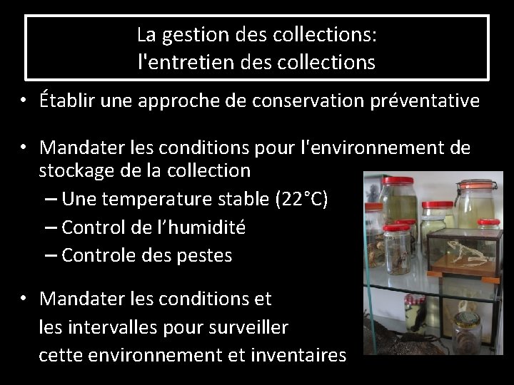 La gestion des collections: l'entretien des collections • Établir une approche de conservation préventative