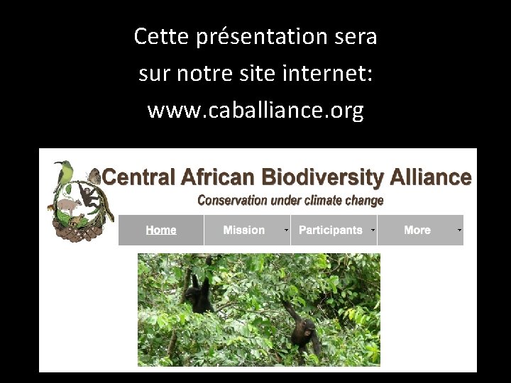 Cette présentation sera sur notre site internet: www. caballiance. org 