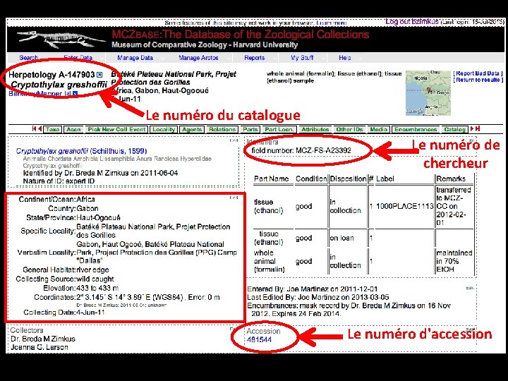 Le numéro du catalogue Le numéro de chercheur Le numéro d'accession 