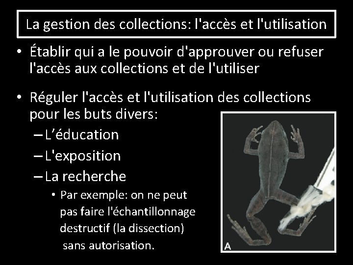 La gestion des collections: l'accès et l'utilisation • Établir qui a le pouvoir d'approuver