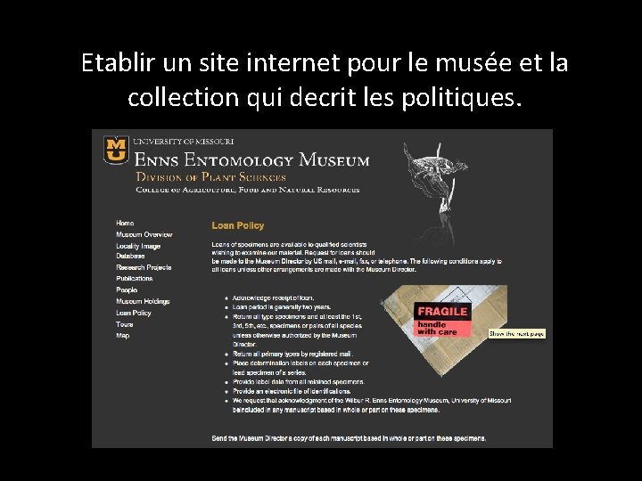 Etablir un site internet pour le musée et la collection qui decrit les politiques.