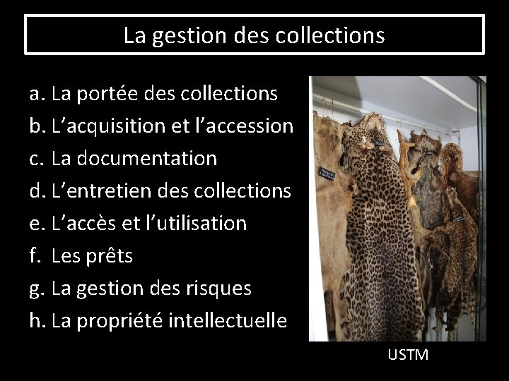 La gestion des collections a. La portée des collections b. L’acquisition et l’accession c.