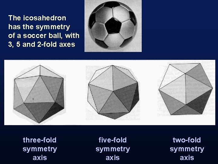 The icosahedron has the symmetry of a soccer ball, with 3, 5 and 2