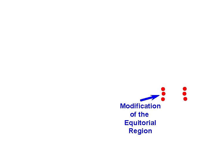 Modification of the Equitorial Region 
