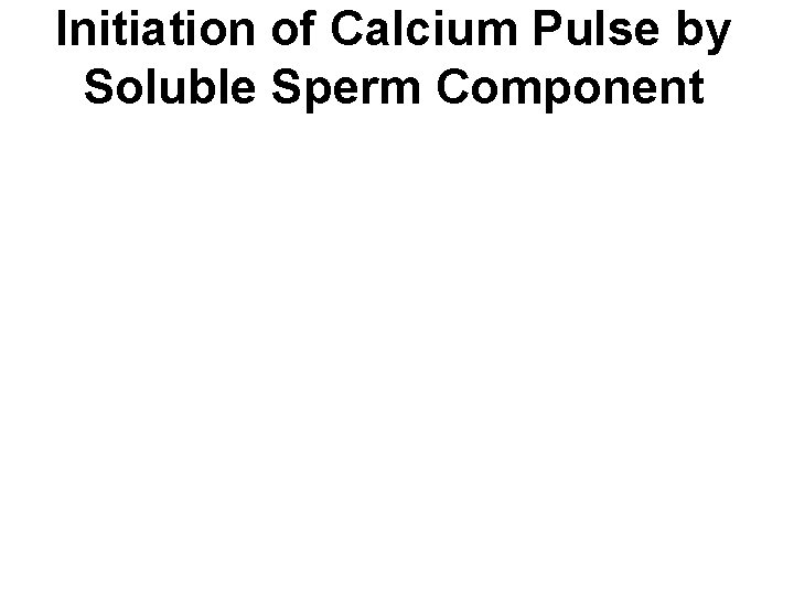 Initiation of Calcium Pulse by Soluble Sperm Component 