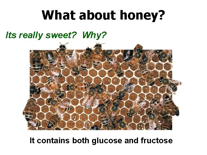 What about honey? Its really sweet? Why? It contains both glucose and fructose 