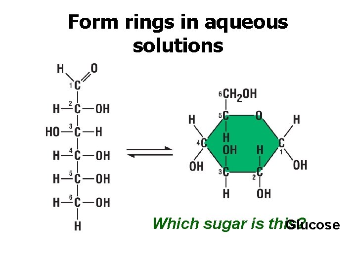 Form rings in aqueous solutions Which sugar is this? Glucose 