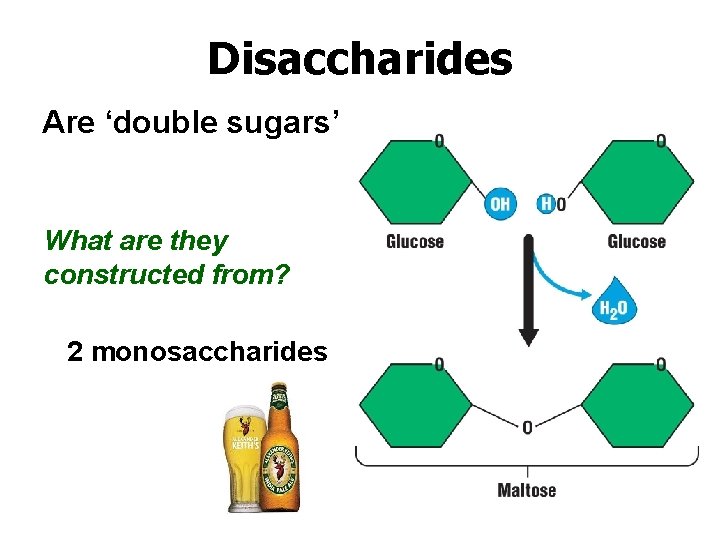 Disaccharides Are ‘double sugars’ What are they constructed from? 2 monosaccharides 