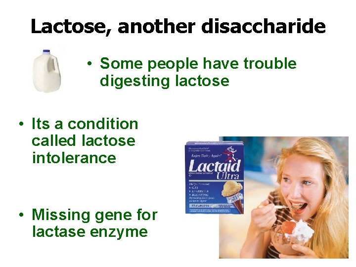 Lactose, another disaccharide • Some people have trouble digesting lactose • Its a condition