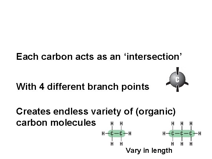 Each carbon acts as an ‘intersection’ With 4 different branch points Creates endless variety