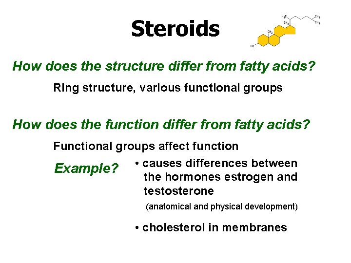 Steroids How does the structure differ from fatty acids? Ring structure, various functional groups