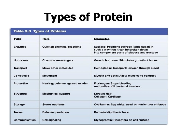 Types of Protein 