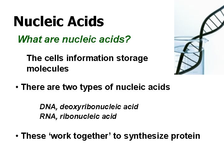 Nucleic Acids What are nucleic acids? The cells information storage molecules • There are