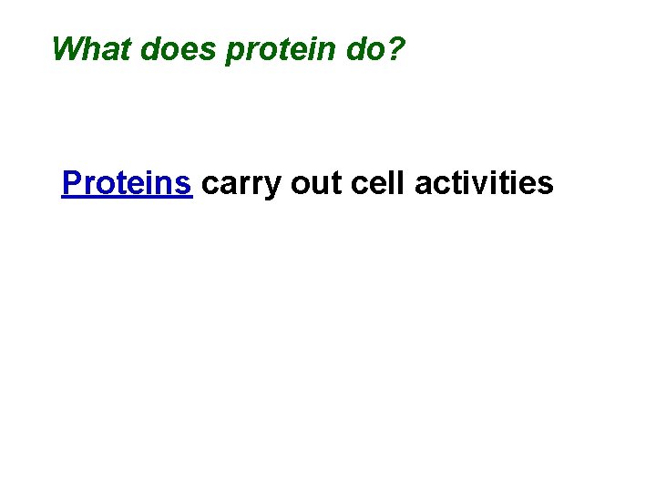 What does protein do? Proteins carry out cell activities 