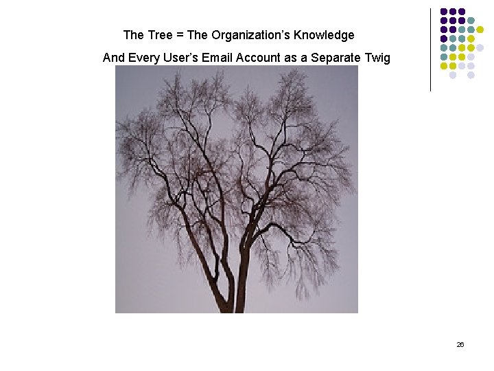 The Tree = The Organization’s Knowledge And Every User’s Email Account as a Separate