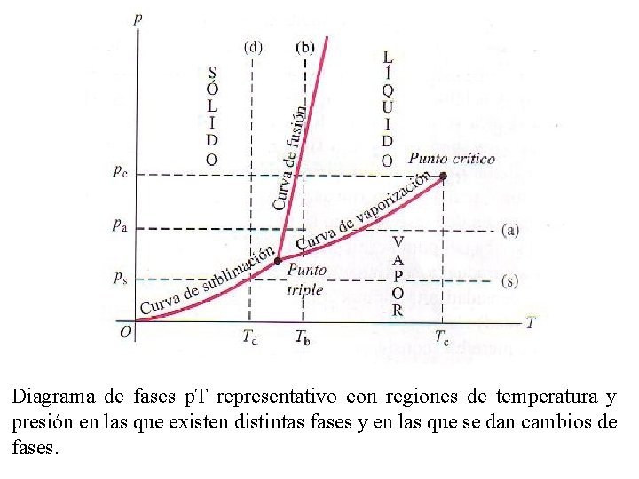 Diagrama de fases p. T representativo con regiones de temperatura y presión en las