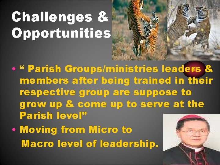 Challenges & Opportunities • “ Parish Groups/ministries leaders & members after being trained in