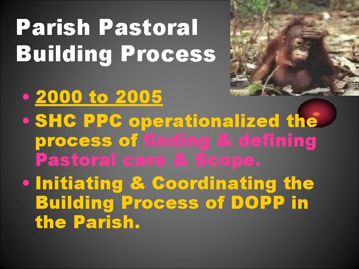 Parish Pastoral Building Process • 2000 to 2005 • SHC PPC operationalized the process