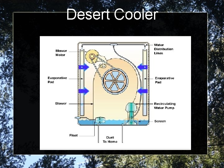 Desert Cooler 