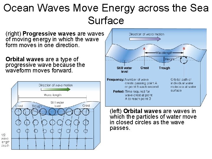 Ocean Waves Move Energy across the Sea Surface (right) Progressive waves are waves of