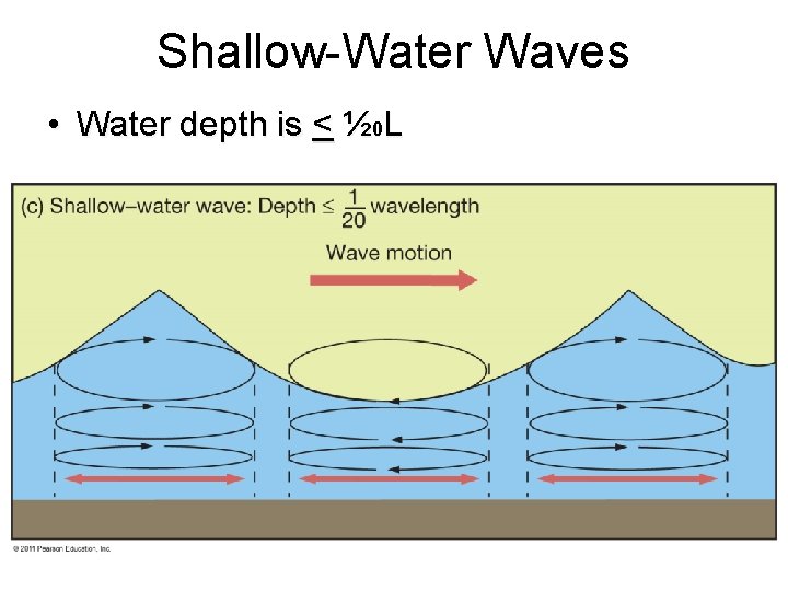 Shallow-Water Waves • Water depth is < ½ 0 L 