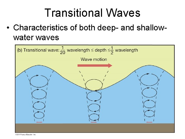 Transitional Waves • Characteristics of both deep- and shallowwater waves 