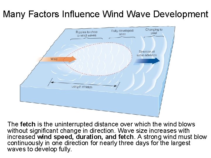 Many Factors Influence Wind Wave Development The fetch is the uninterrupted distance over which