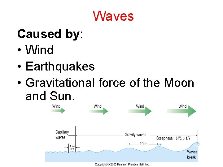 Waves Caused by: • Wind • Earthquakes • Gravitational force of the Moon and