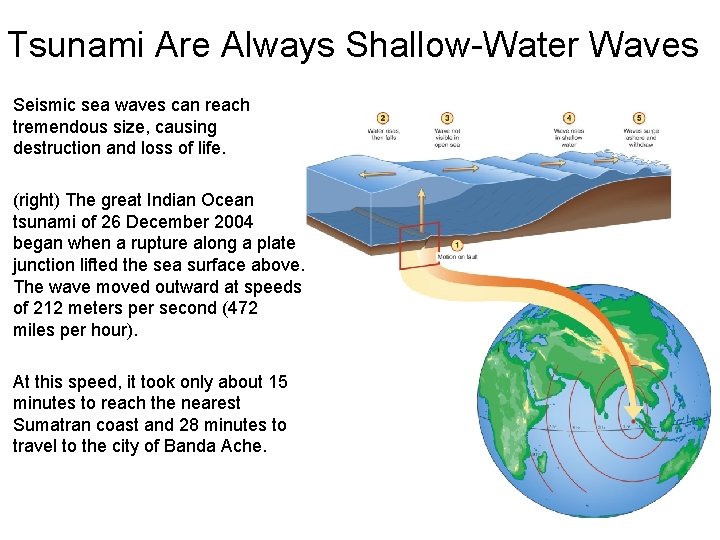Tsunami Are Always Shallow-Water Waves Seismic sea waves can reach tremendous size, causing destruction