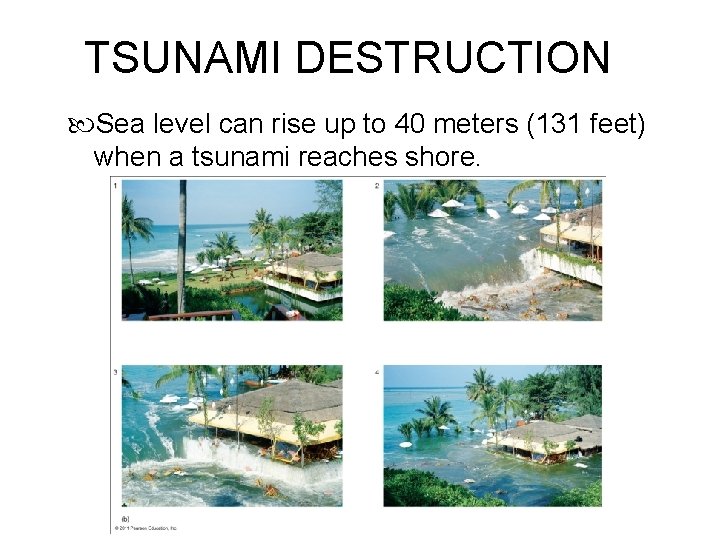 TSUNAMI DESTRUCTION Sea level can rise up to 40 meters (131 feet) when a