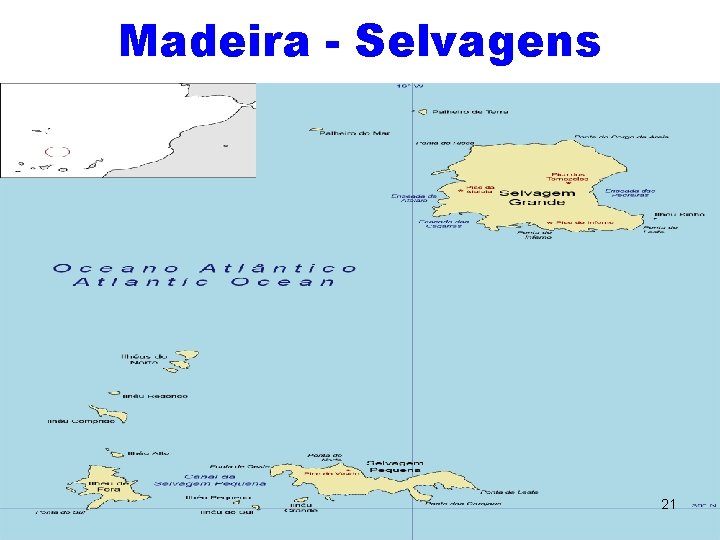 Madeira - Selvagens 21 