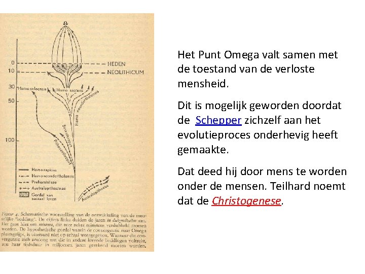 Het Punt Omega valt samen met de toestand van de verloste mensheid. Dit is