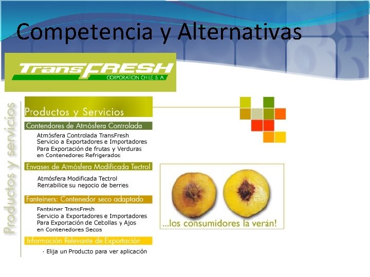 Competencia y Alternativas 