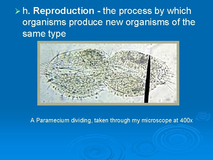 Ø h. Reproduction - the process by which organisms produce new organisms of the