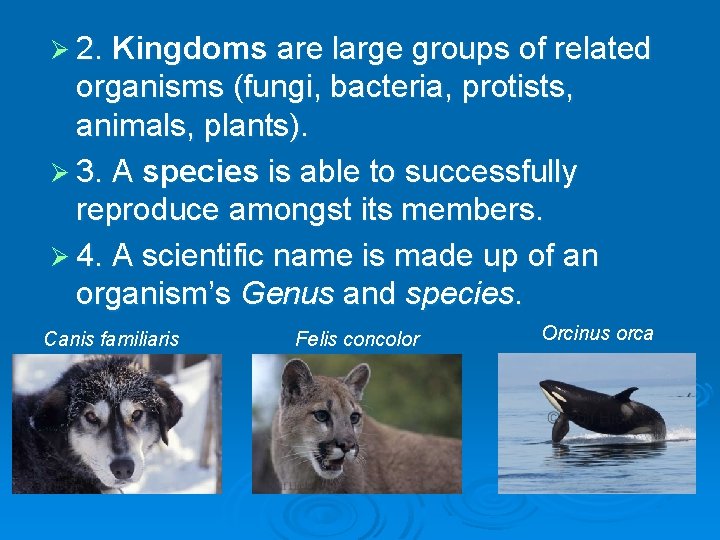 Ø 2. Kingdoms are large groups of related organisms (fungi, bacteria, protists, animals, plants).