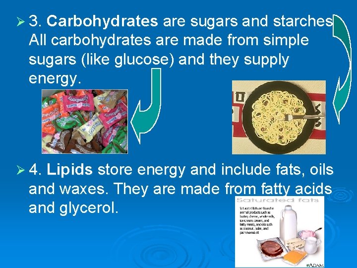 Ø 3. Carbohydrates are sugars and starches. All carbohydrates are made from simple sugars