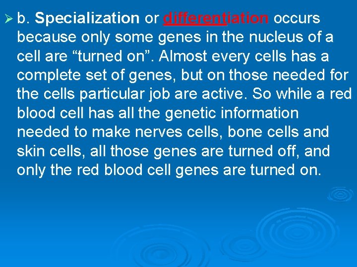 Ø b. Specialization or differentiation occurs because only some genes in the nucleus of