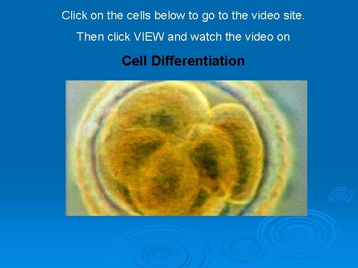 Click on the cells below to go to the video site. Then click VIEW